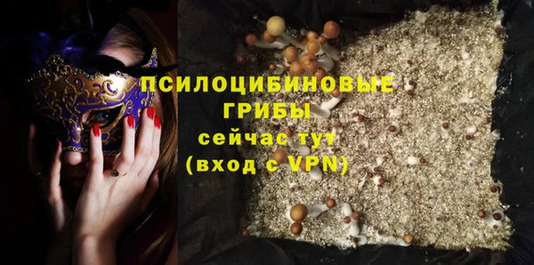 мяу мяу мука Вяземский