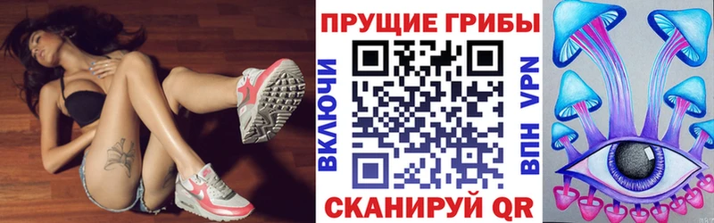 Псилоцибиновые грибы ЛСД  где купить наркоту  Исилькуль 